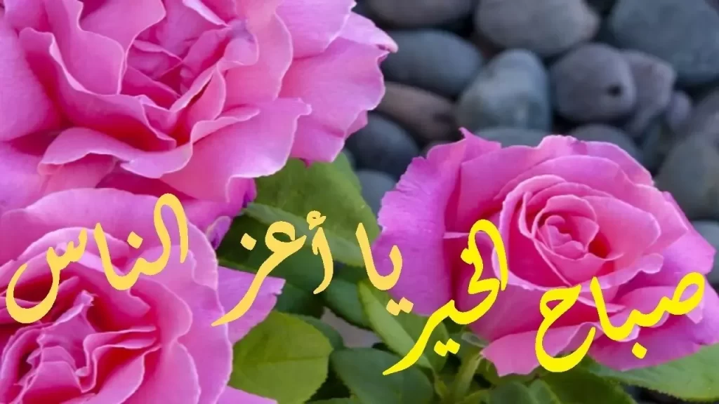 بوستات صباح الخير جديدة ومميزة