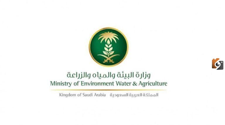 الاستعلام عن دعم المواشي الدفعة الجديدة برقم الهوية 1447
