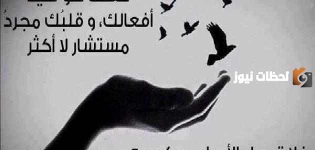 حكمة اليوم عن الحياة