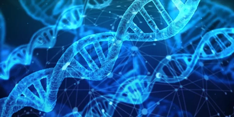 هل يوجد فرق بين المرض الجيني والمرض الوراثي؟