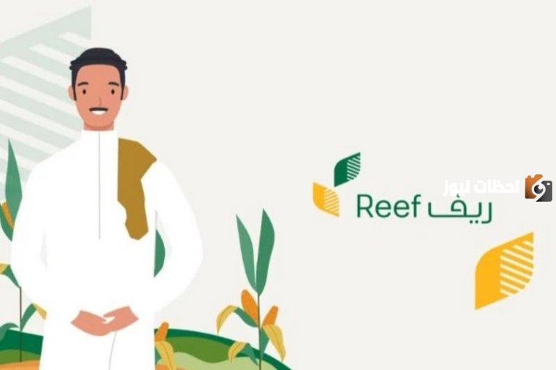 دعم غير مسترد للعاطلين