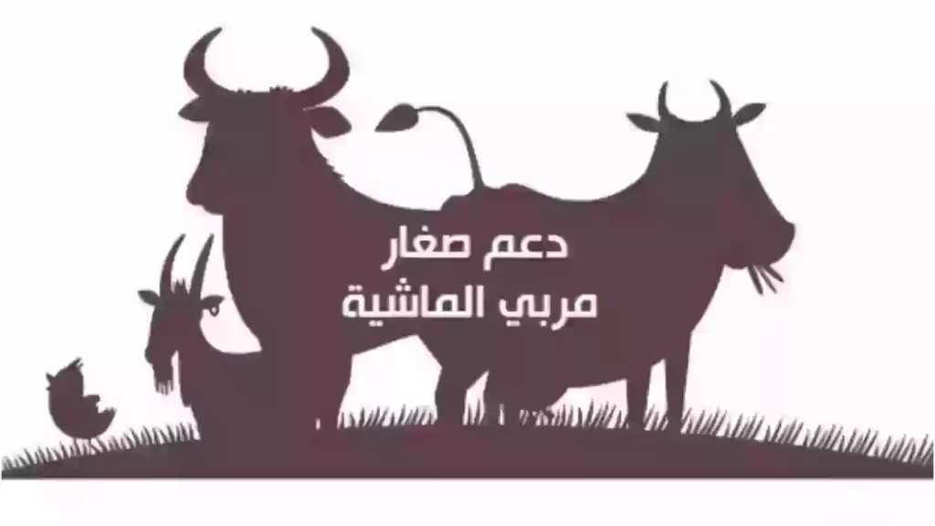 دعم مربي صغار الماشية 1445 كم يبلغ وكيف يتم الاستعلام عنه