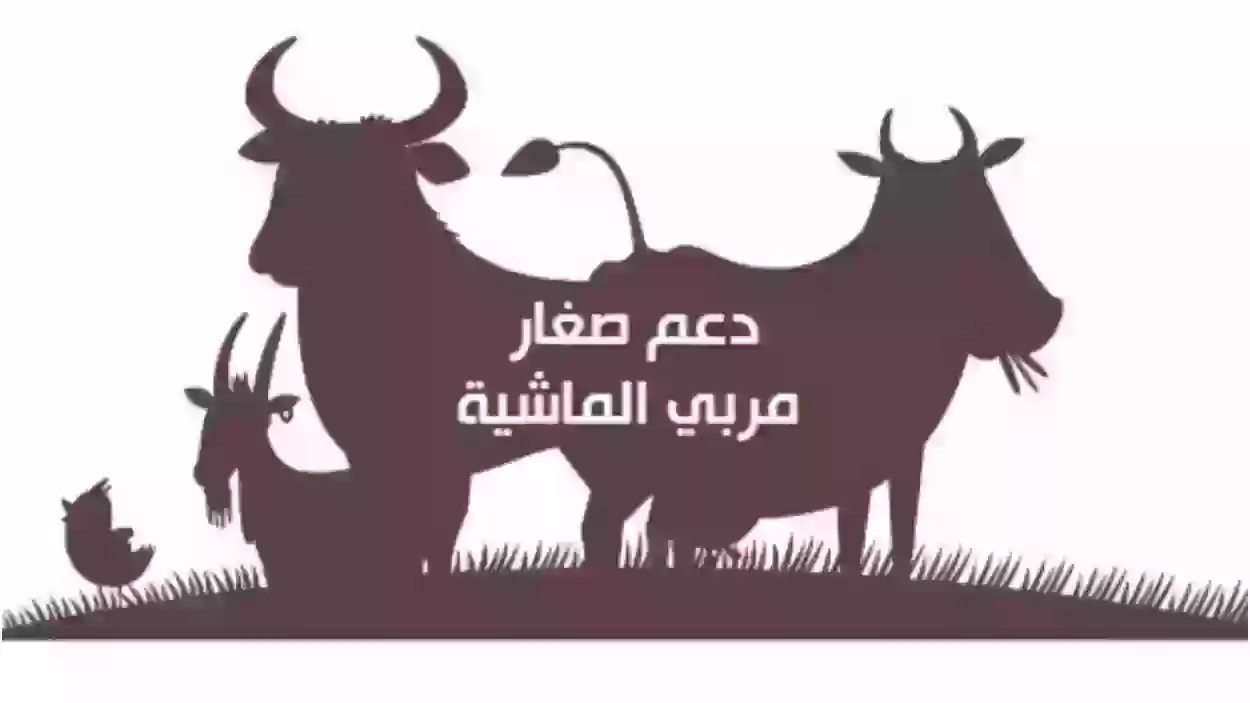 دعم مربي صغار الماشية 1447 كم يبلغ وكيف يتم الاستعلام عنه