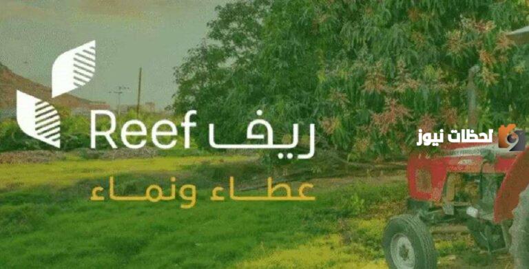 ريف دعم الفواكه 1447 شروط الاستفادة من الدعم