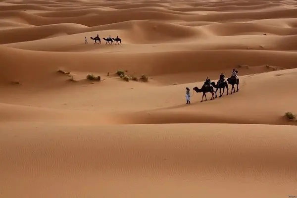 عائلة الجمعان وش يرجعون ما أصل عائلة الجمعان