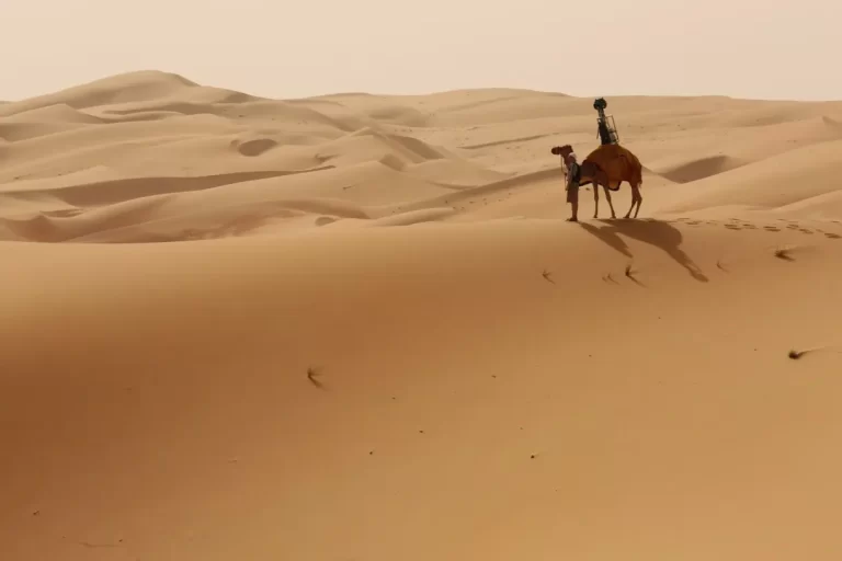 فهد الجلاجل وش يرجعون؟ من هو فهد الجلاجل؟