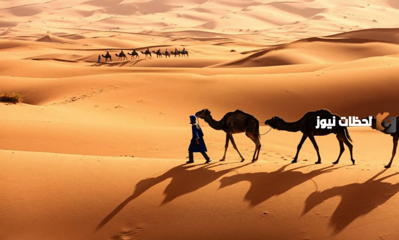 قبيلة الثبيتي وش يرجع