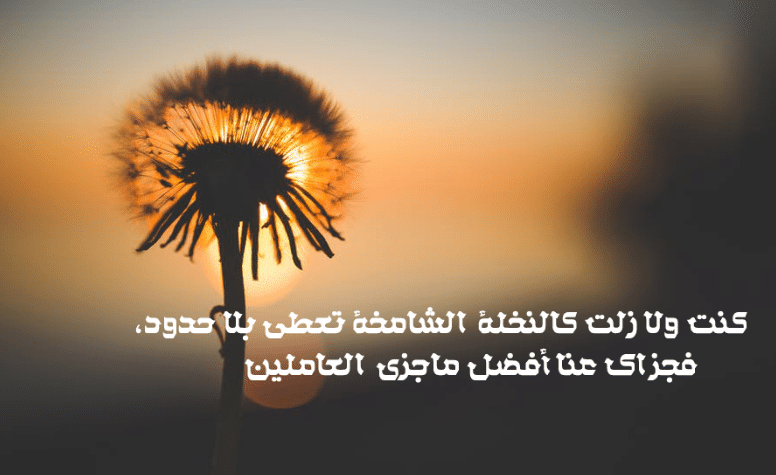 كلمات شكر وثناء لشخص قدم العطاء