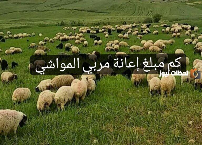كم مبلغ إعانة مربي المواشي تويتر