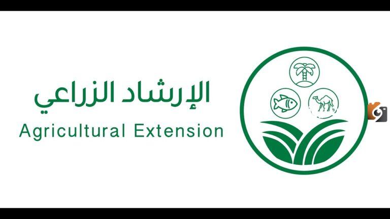مواطن يسأل .. كيف أحمي الماشية أثناء الأمطار ؟ الإرشاد الزراعي يجيب