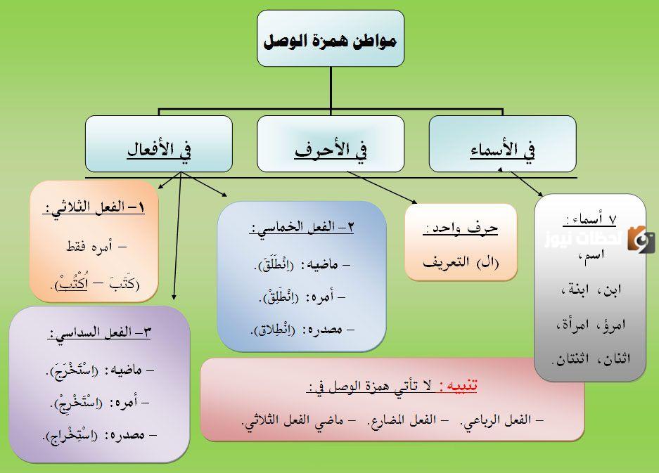 كيف تكتب همزة الوصل والقطع في الأفعال