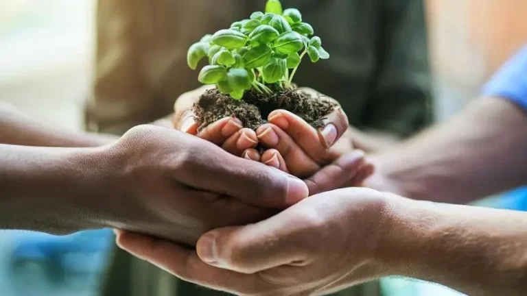 كيف يمكنني طلب مساعدة مالية وسكنية من مؤسسة سمو الأميرة ريم بنت الوليد بن طلال لمساعدات الخيرية