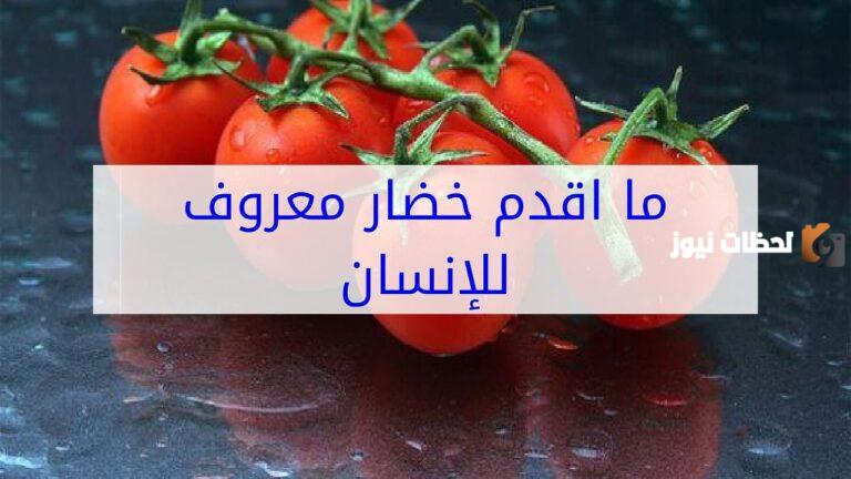 ما اقدم خضار معروف للإنسان
