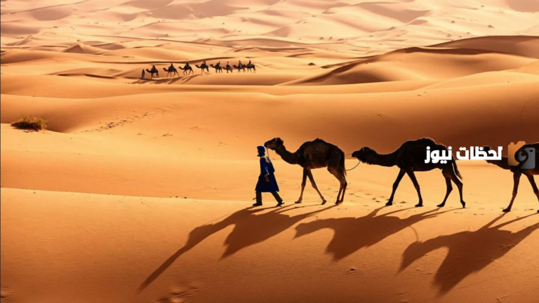 ما هو نسب قبيلة الجبري