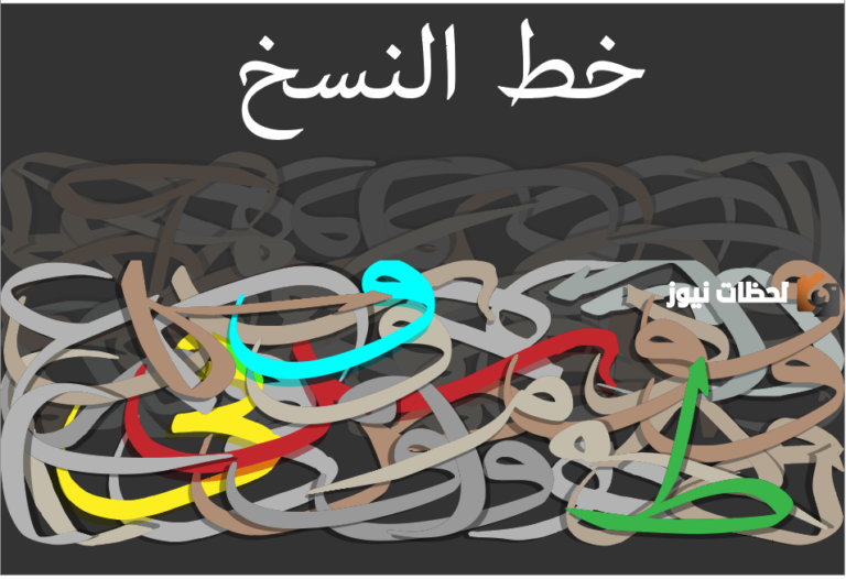 ما هي الحروف المستقره على السطر في خط النسخ؟