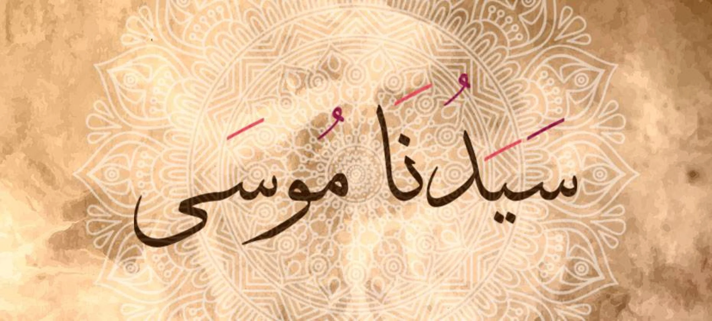 ما هي دعوات موسى السبع التي دعا بها ربه اعرف الان