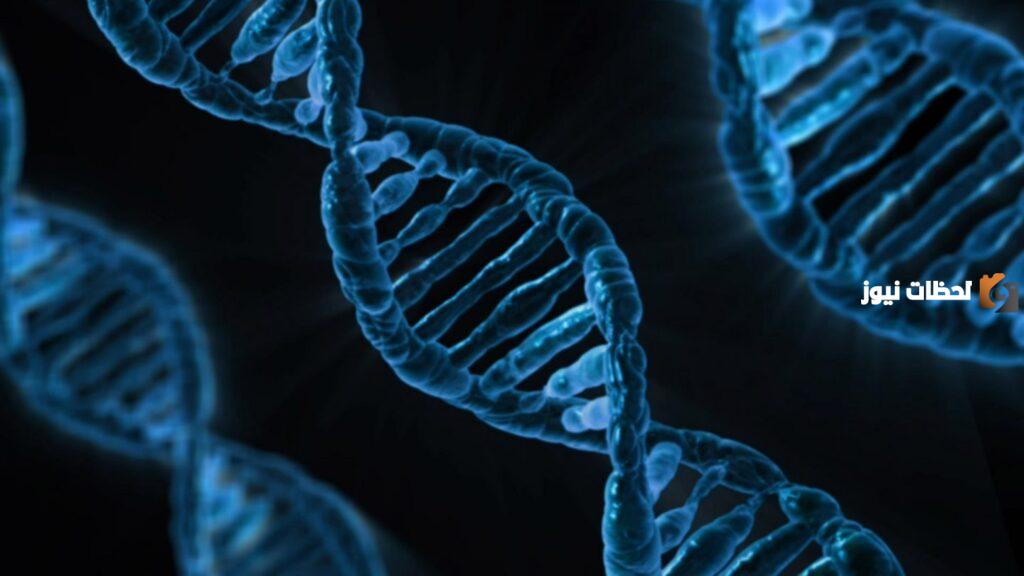مقدمة بحث عن dna قوية وواضحة
