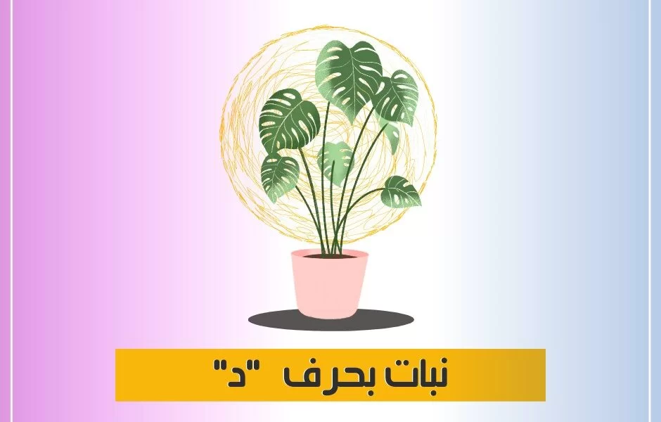 “جميع المعلومات” اسم نبات بحرف د الدال