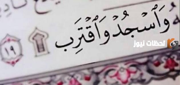 هل السجدة في القران واجب