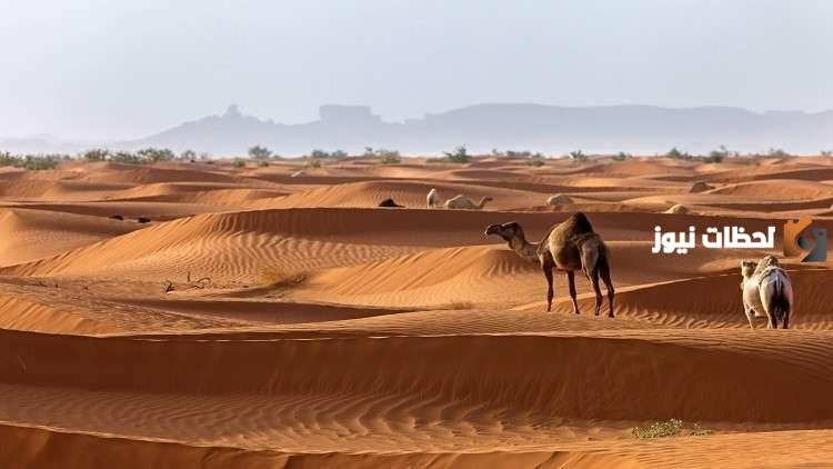 وش يرجع الفوزان