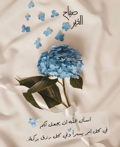 عبارات صباح الخير للأصدقاء جميلة
