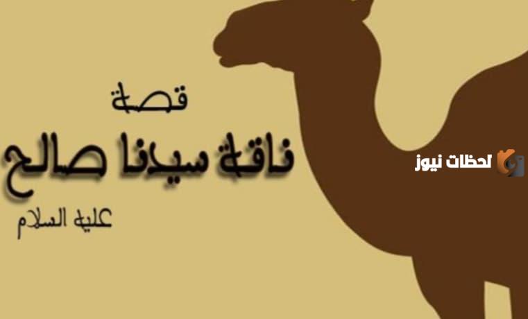 قصة صالح عليه السلام