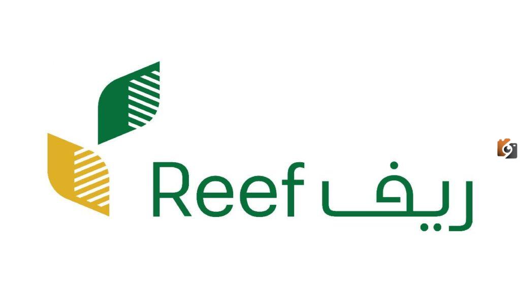 اعرف الآن خطوات حل مشكلة تسجيل الدخول إلى حساب ريف