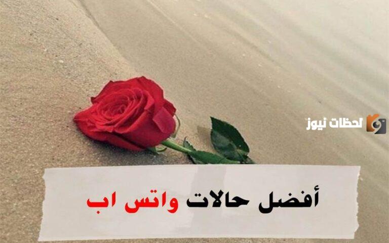 أجمل حالات واتس اب كتابة جديدة 2025 للبنات والشباب WhatsApp