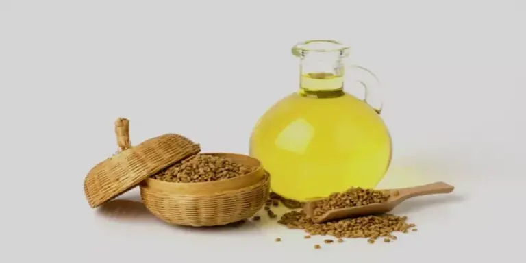 أضرار زيت الحلبة للوجه والجسم وأهم فوائدها