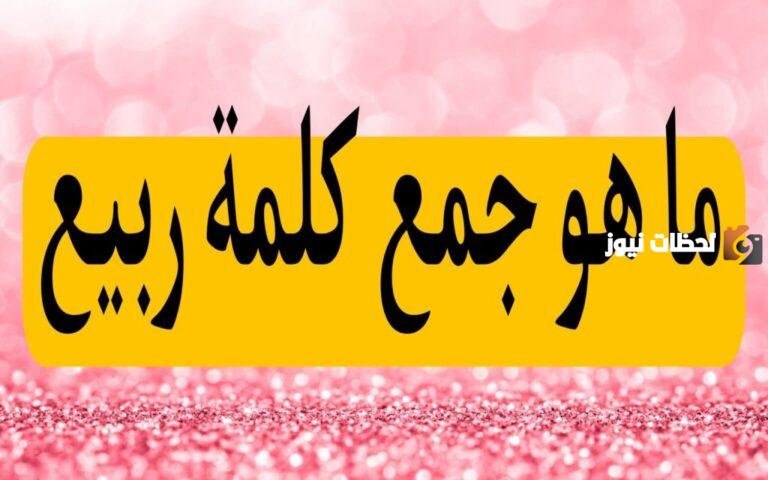 الغاز مع الحل مختلفة | ألغاز مع الحل صعبة جدا 2025