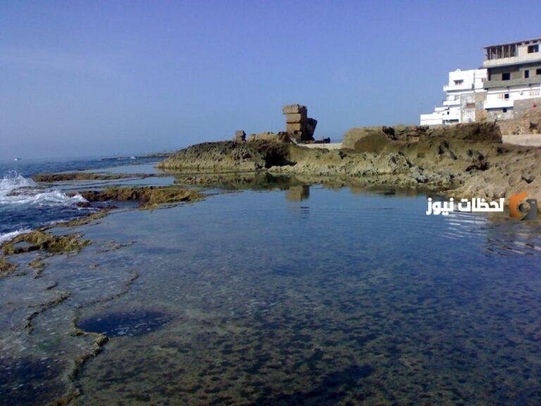 أين تقع جزيرة أرواد؟ وبكم الفيزا السياحية؟