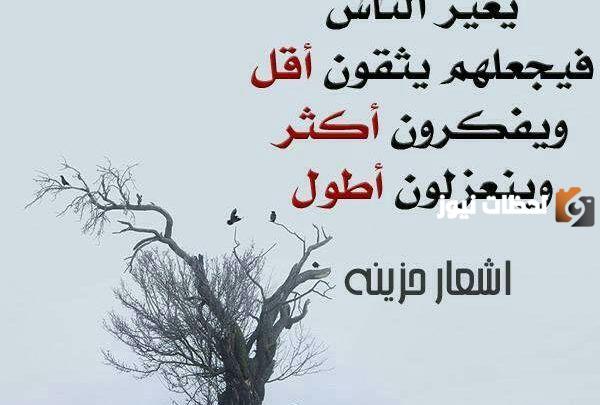 شعر عراقي 2025 اجمل شعر عن الحب عراقي