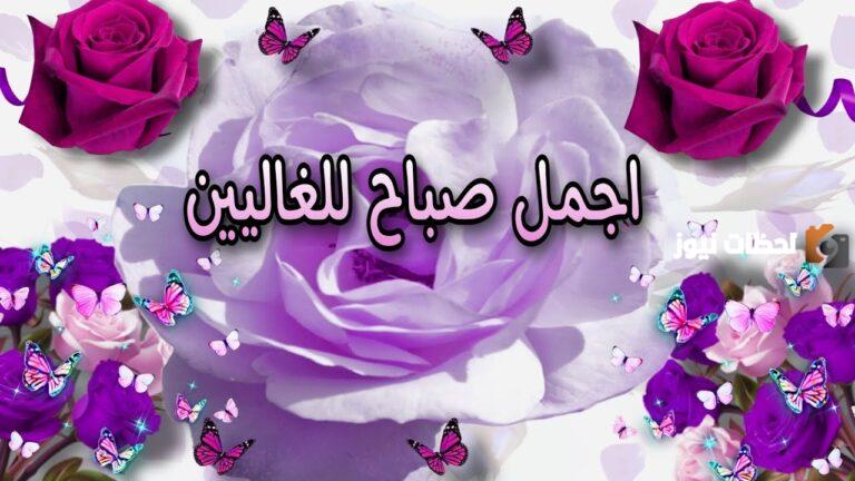 اجمل عبارات صباح الورد حبيبي 2025 صباح الورد والجمال
