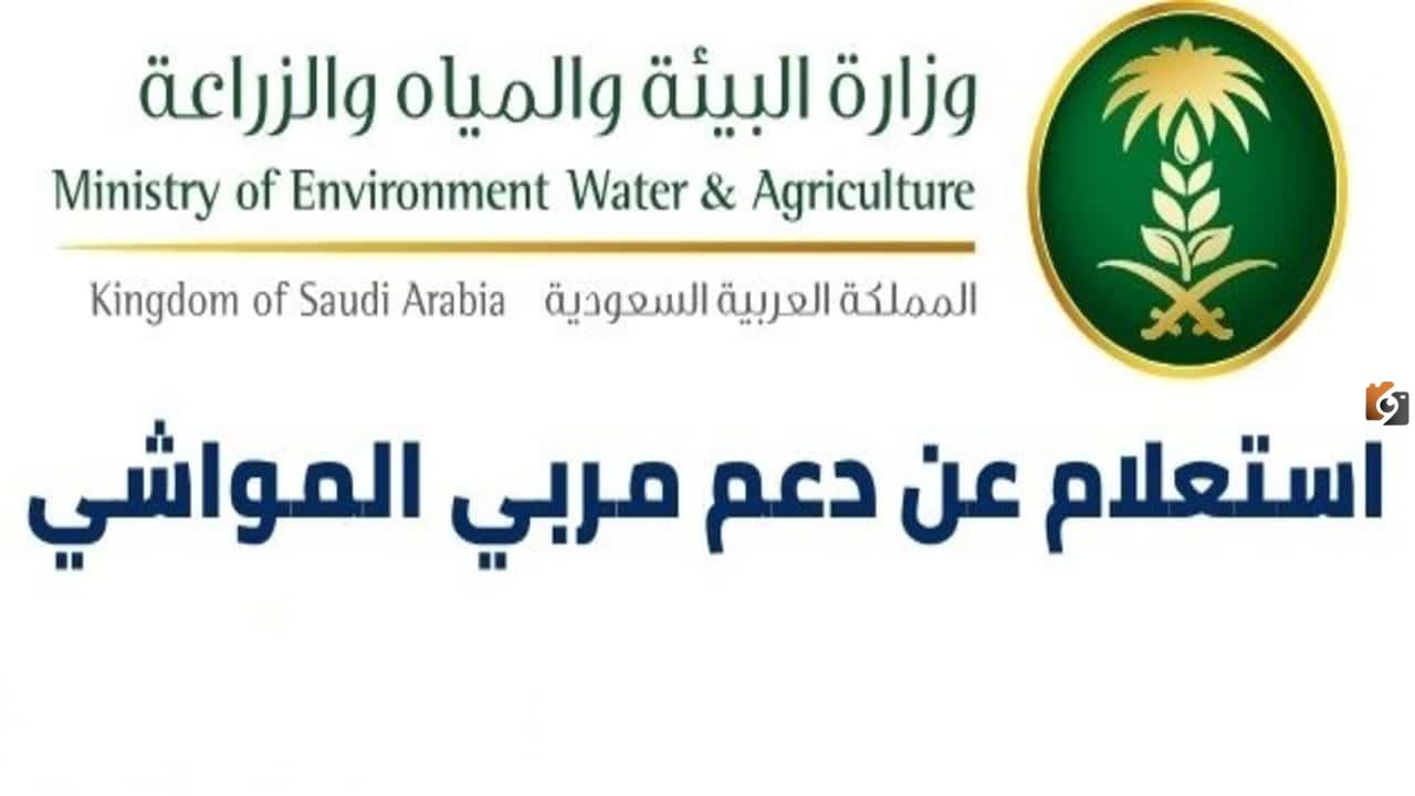 اريد الاستعلام عن دعم مربي المواشي متى ينزل .. دعم المواشي لهذا الشهر 1447 ؟