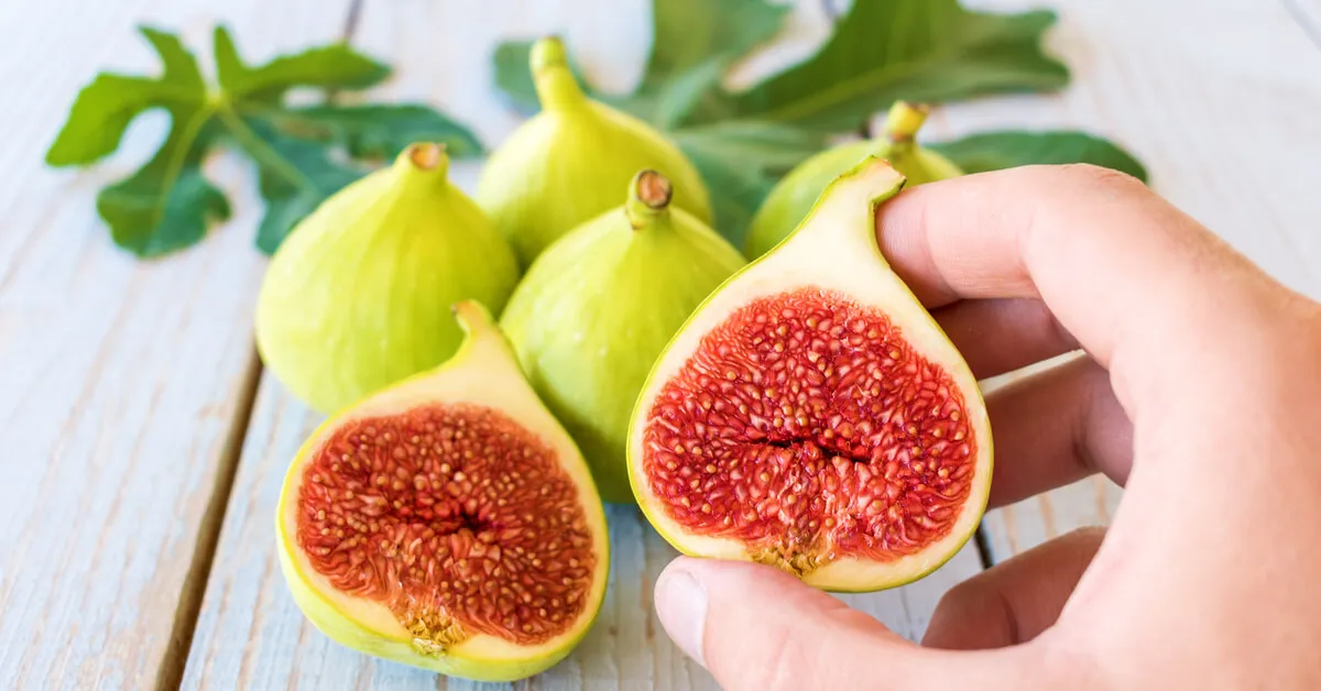 اسماء اكلة بحرف التاء ت وجميع المعلومات عن اكلات بحرف ت