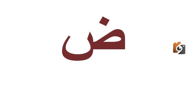 اسماء اكلة بحرف الضاد