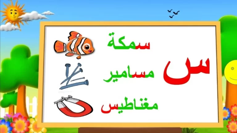 اسماء جماد بحرف السين س وجميع المعلومات عن الجماد بحرف س