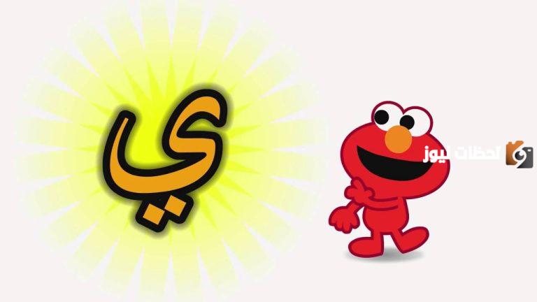 اسماء جماد بحرف الياء ي وجميع المعلومات عن الجماد بحرف ي