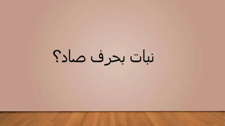 اسماء مدينة بحرف الصاد ص وجميع المعلومات عن مدن بحرف ص
