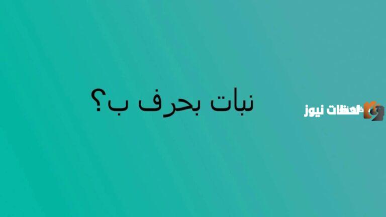 اسماء نبات بحرف الباء ب وجميع المعلومات عن نباتات بحرف ب