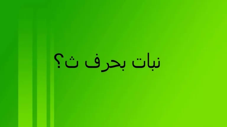 اسماء نبات بحرف الثاء ث وجميع المعلومات عن نباتات بحرف ث