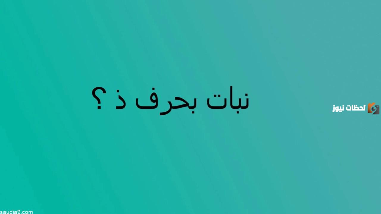 اسماء نبات بحرف الذال ذ وجميع المعلومات عن نباتات بحرف ذ