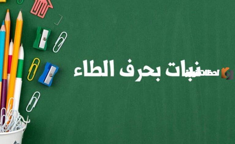 اسماء نبات بحرف الطاء ط وجميع المعلومات عن نباتات بحرف ط