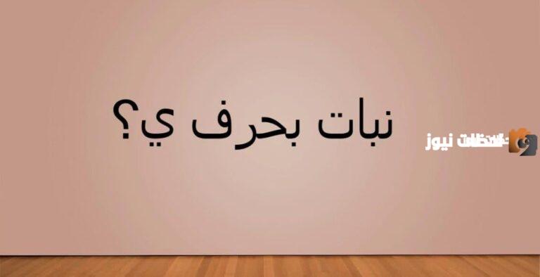 اسماء نبات بحرف الياء ي وجميع المعلومات عن نباتات بحرف ي