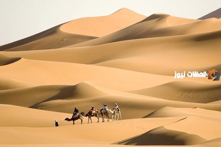 السواط وش يرجع ومن وين