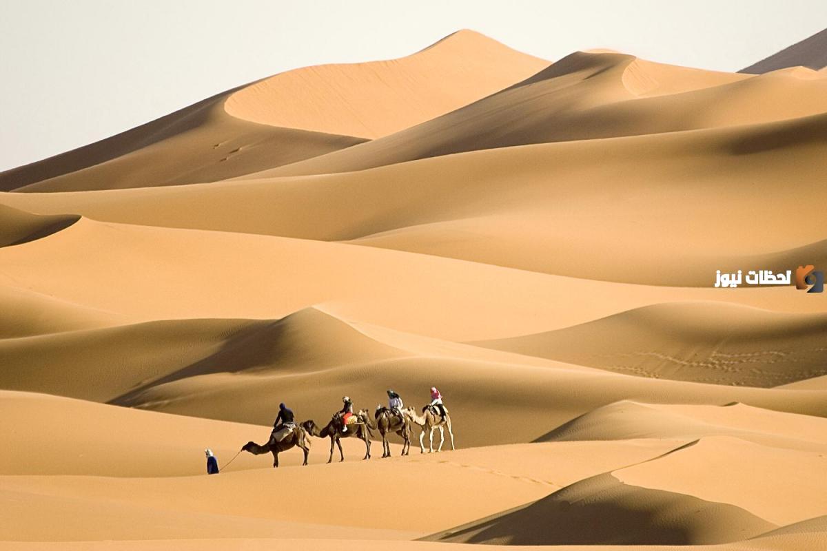 السواط وش يرجع ومن وين