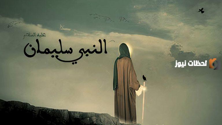 ما هي الفائدة من قصة سليمان عليه السلام مع المخلوقات