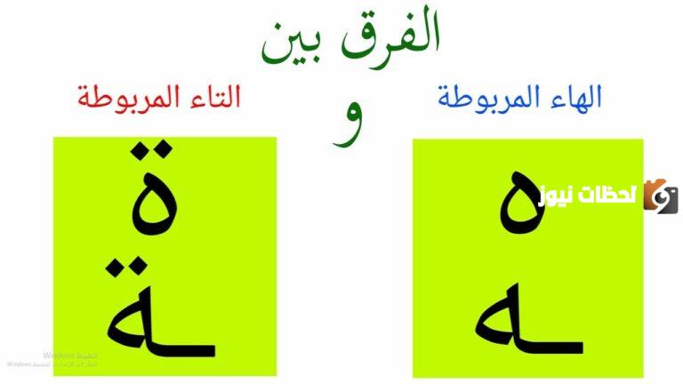 الفرق بين الهاء والتاء المربوطة