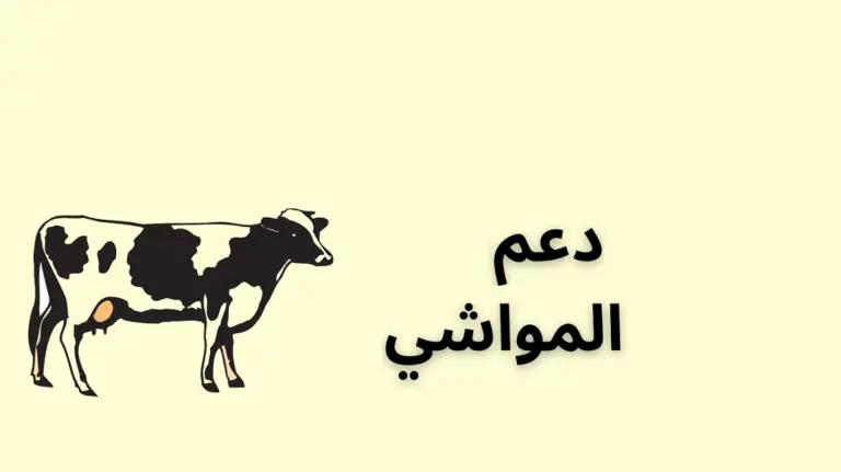 عبر نفاذ .. اليكم خطوات الاستعلام عن دعم المواشي وما هي قيمة الدعم ؟