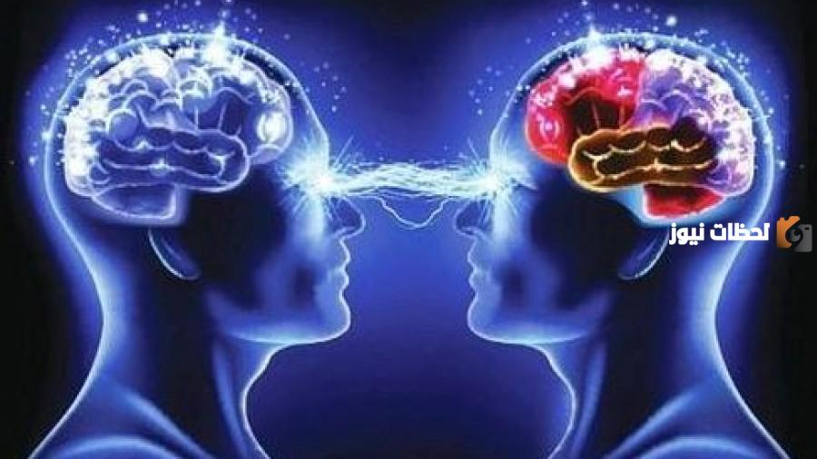 بحث عن ديناميكية الجماعة الحيوية كامل